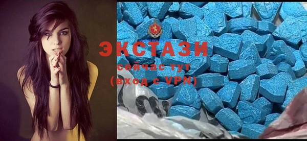 apvp Алзамай