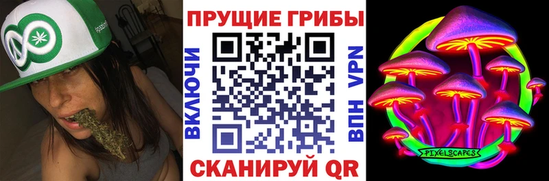 Псилоцибиновые грибы Magic Shrooms  Игра 